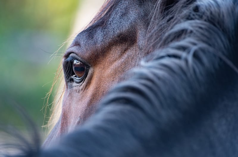 Eye gazing into the unknown